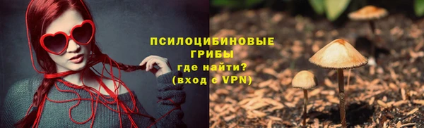 дурь Нея
