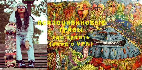 дурь Нея