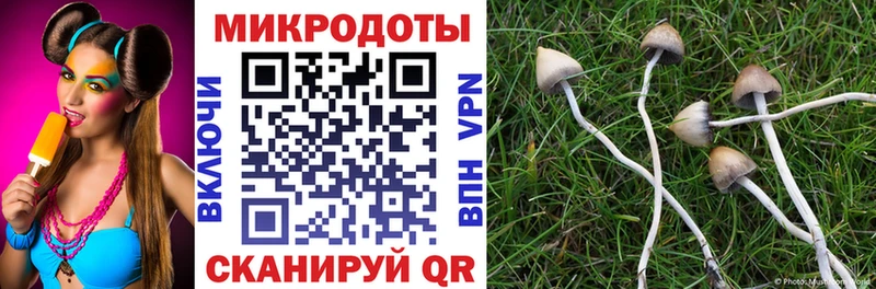 Галлюциногенные грибы прущие грибы  Подпорожье 